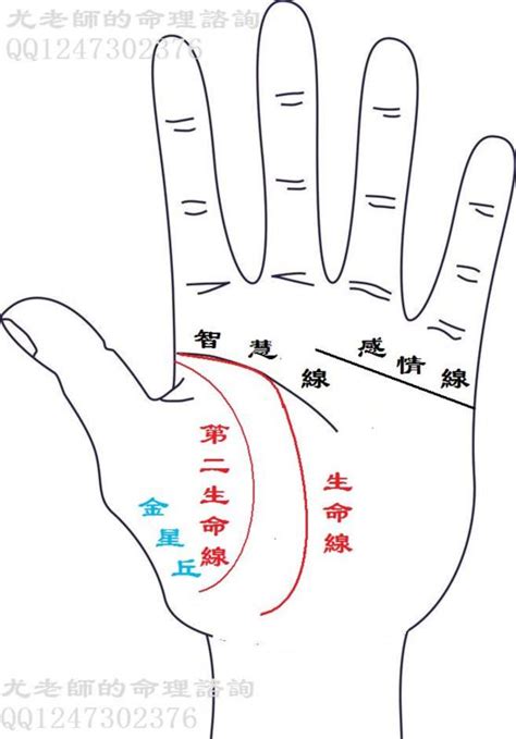 生命線有兩條|手相基礎學（二）生命線